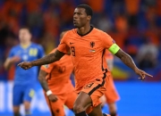 开云平台-爱尔兰力挫对手，晋级形势一片向好