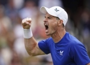 开云体育平台APP-西班牙网球队完胜日本网球队，穆雷惊艳世界的简单介绍