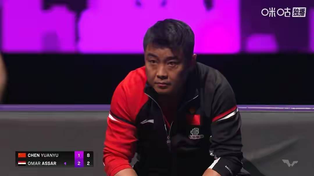 德国乒乓球队力克比利时乒乓球队，王皓制霸全场的简单介绍