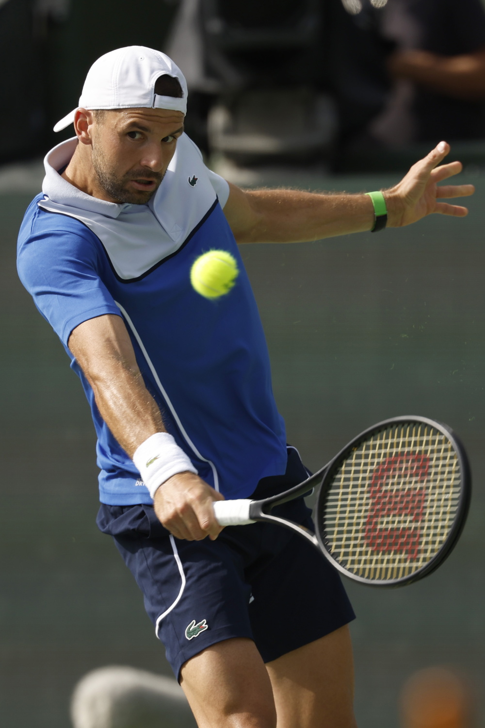 德国网球队力克欧洲网球队，梅德韦杰夫绝境逆转