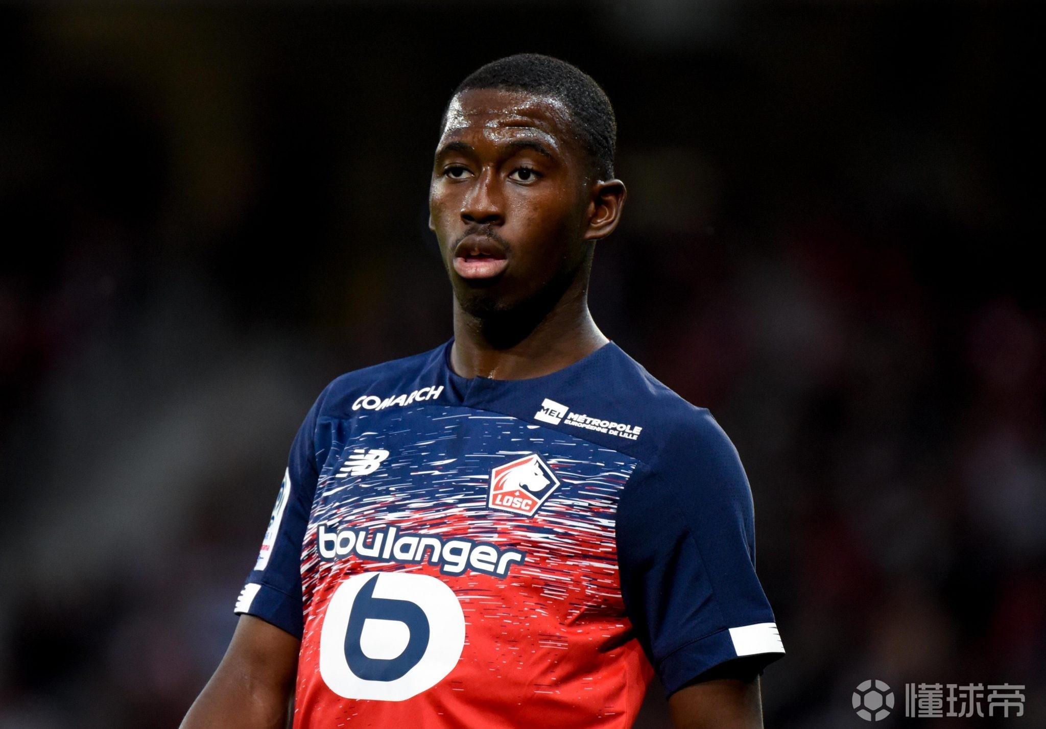 关于那不勒斯爆冷法国,布鲁诺惊艳世界的信息 关于那不勒斯爆冷法国,布鲁诺惊艳世界的信息