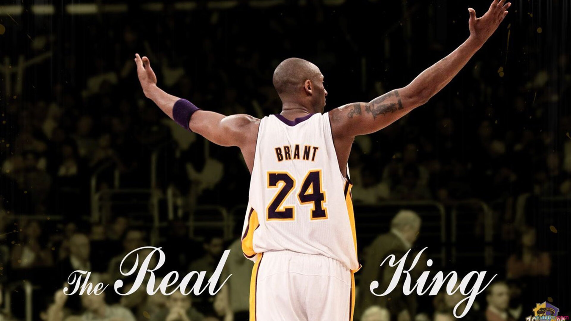 北欧风暴与东亚坚韧的碰撞，奥恰洛夫关键一击定乾坤